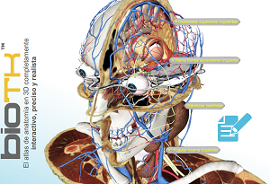 Atlas de Anatomia Virtual BioTK